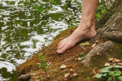 Sommer an der Krummen Lanke VIII