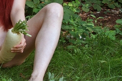 Der große Rettich II