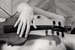 Violine III